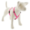Lupine Reflective Roman Dog Harness 3/4" Wide 12"-20" Girth Pink Diamond - Poudre Pet and Feed Supply